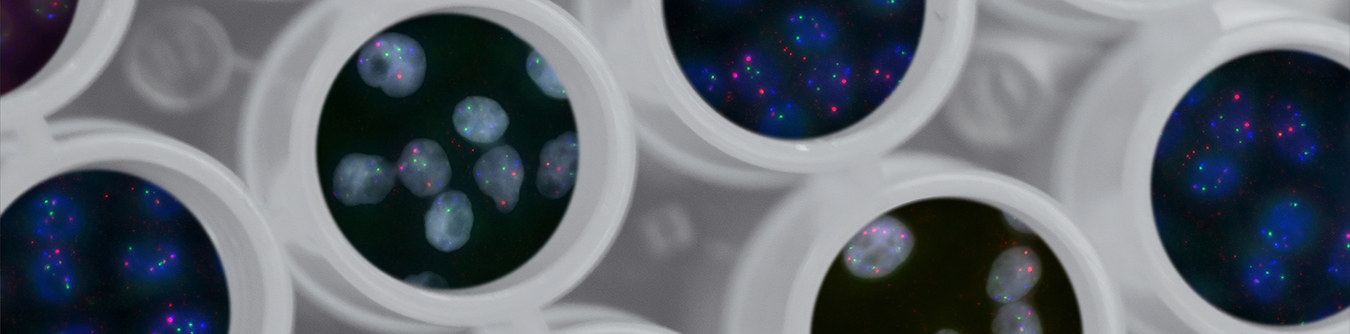 Images in a lab of cells