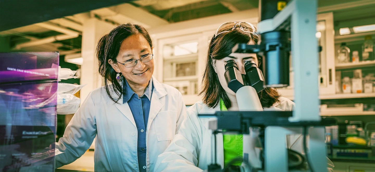 Two scientists in a laboratory