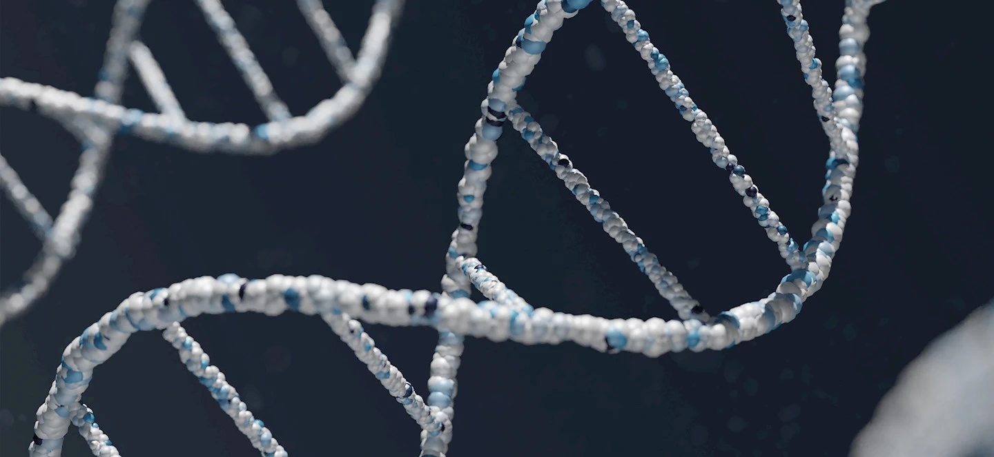 DNA up close