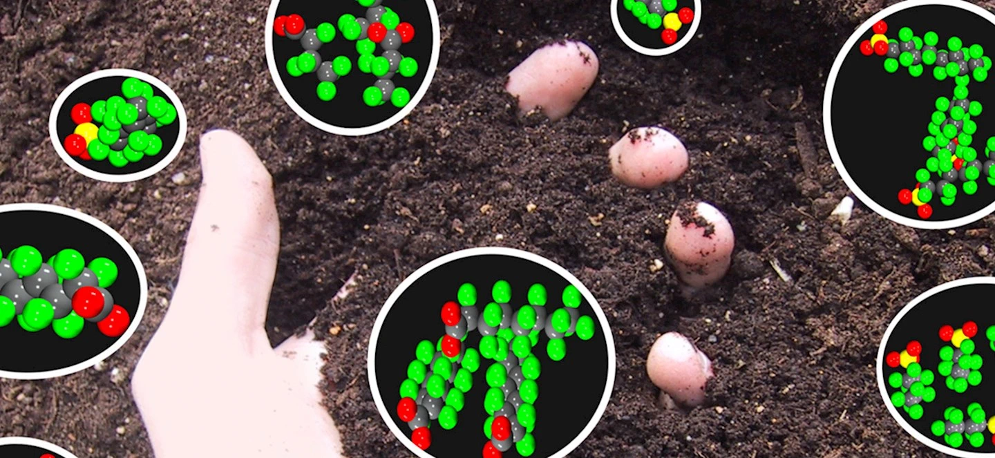 Hand grabbing soil surrounded by representation of molecules