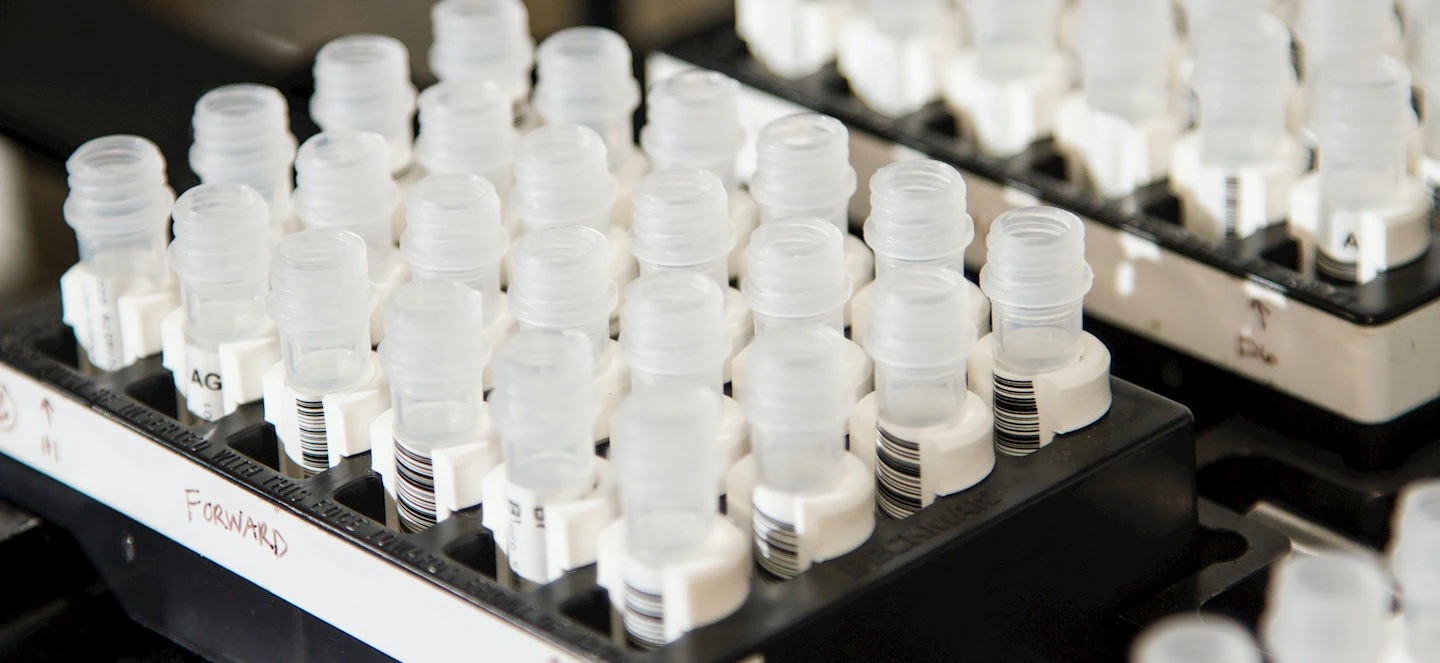 Batches of vials on a table